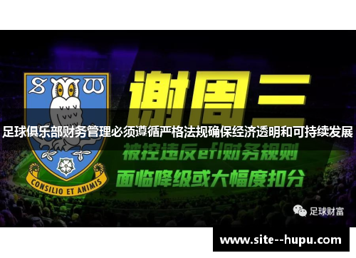 足球俱乐部财务管理必须遵循严格法规确保经济透明和可持续发展 足球俱乐部财务管理必须遵循严格法规确保经济透明和可持续发展