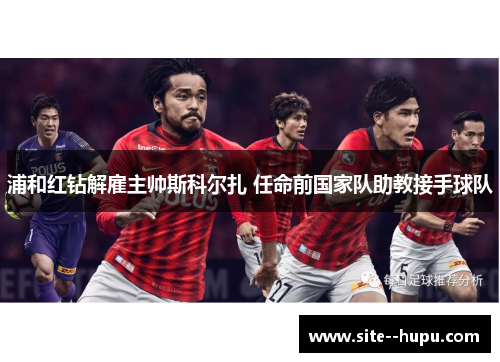 浦和红钻解雇主帅斯科尔扎 任命前国家队助教接手球队